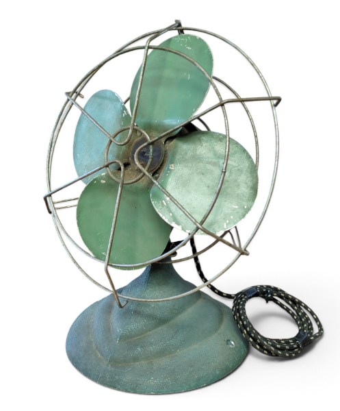 FAN116
