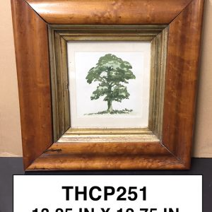 THCP251