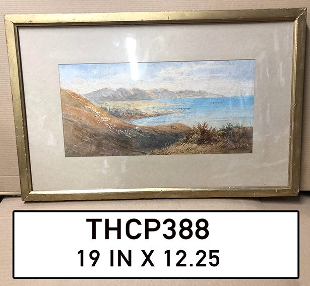 THCP388
