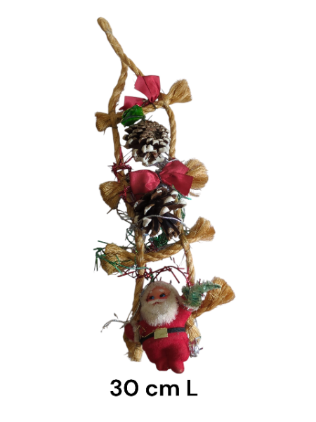 XMAS014