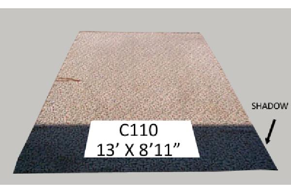 CAPT110