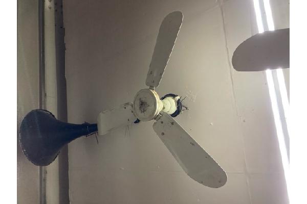 FAN100