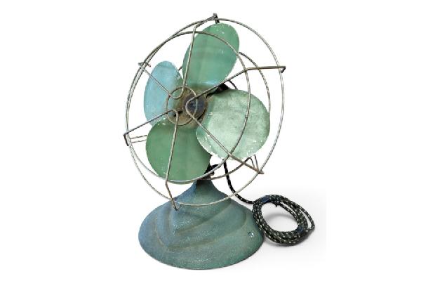 FAN116