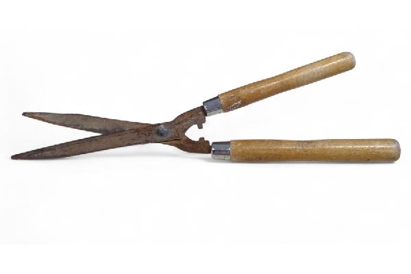 GAR123