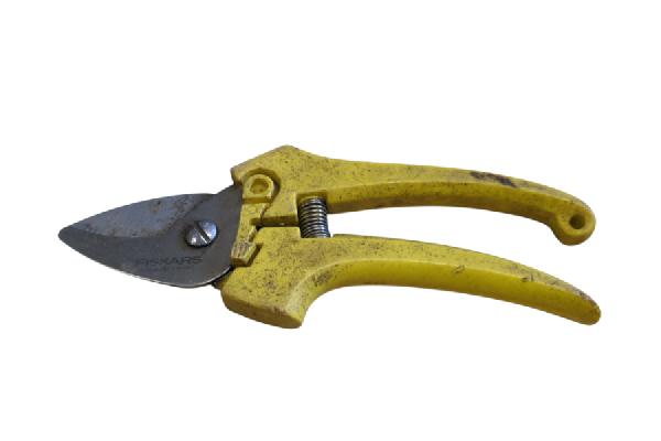 GAR126