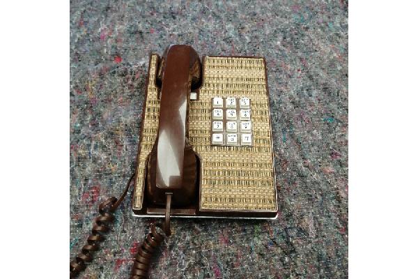 PHONE113