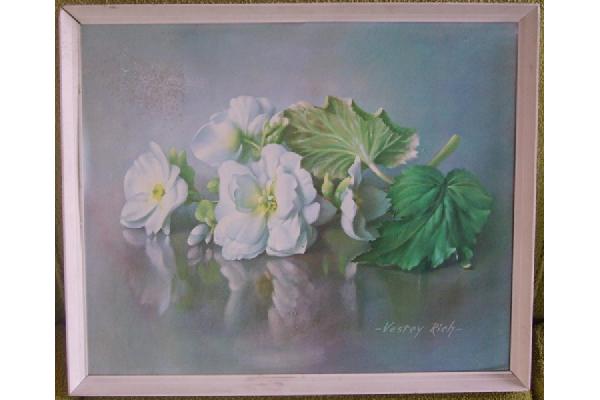 PICFF014