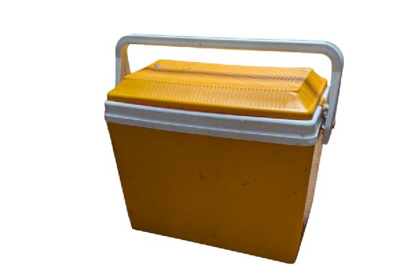 PN037