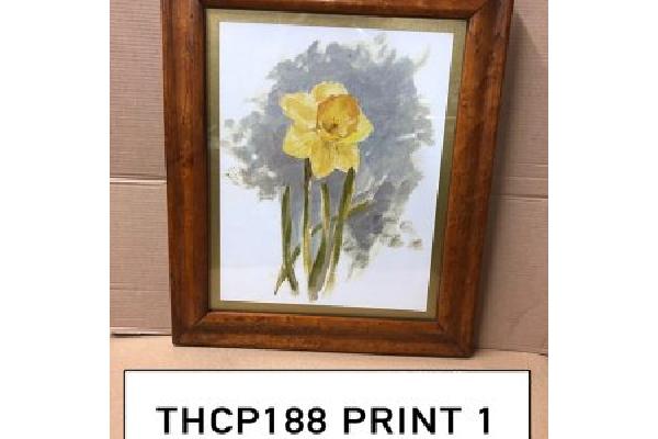 THCP188