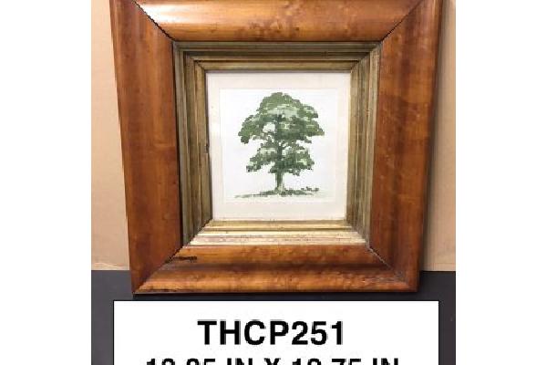 THCP251