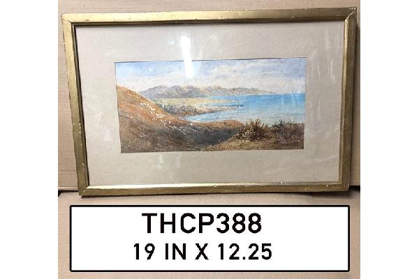 THCP388